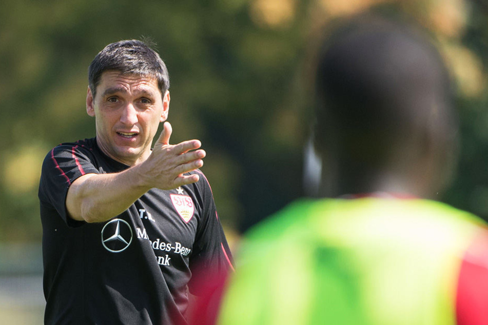 Hat auf vielen Positionen die Qual der Wahl: VfB-Coach Tayfun Korkut.