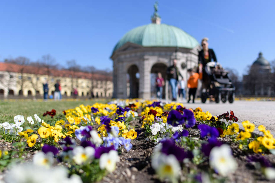 Im Hofgarten konnte man am Wochenende bei herrlichem Sonnenschein spazieren gehen.