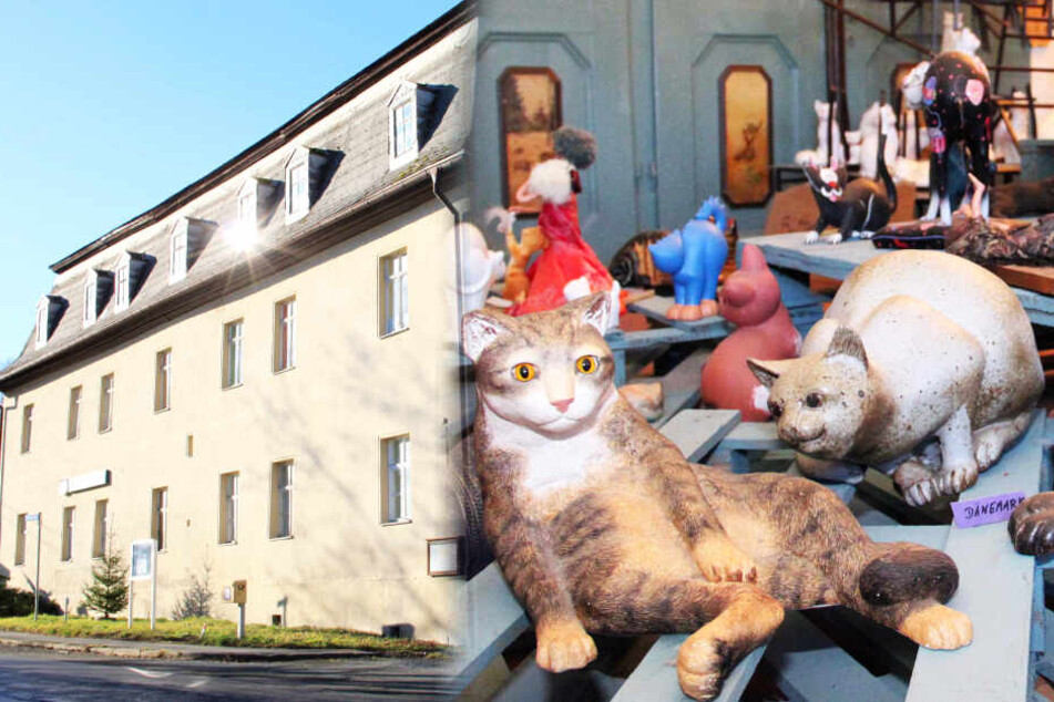 Das ist Deutschlands größtes Katzen-Museum!