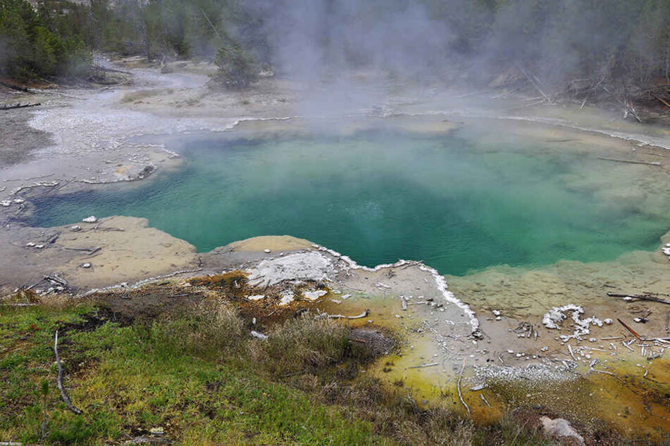 Ein 23-Jähriger ist im Yellowstone-Park ums Leben gekommen.