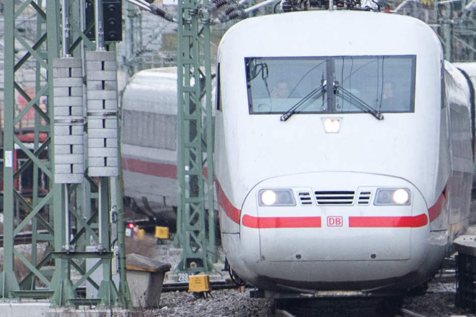 Die Kinder hatten großes Glück. Die Strecke Hamburg-Berlin gehört zu den meist befahrenen Deutschlands.