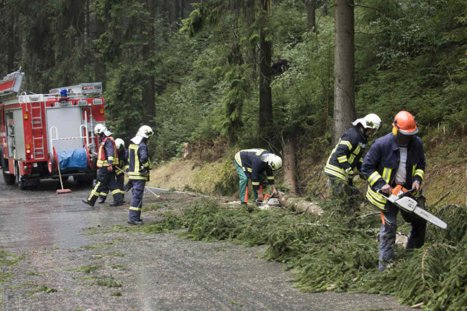 Die Feuerwehr muss nun zahlreiche umgestürzte Bäume auf der Talstraße beräumen.