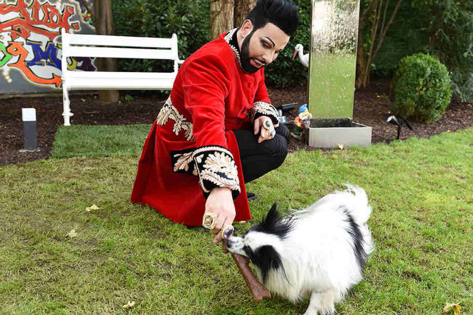 Hier tobt der Modedesigner Harald Glööckler vergnügt mit seinem siebenjährigen Billy King.