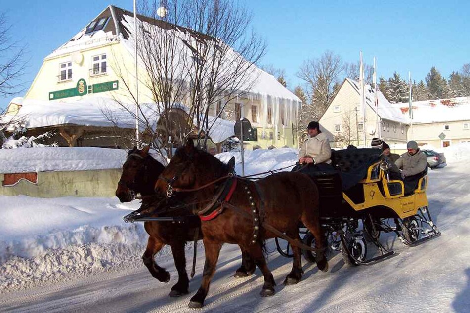 Die Rundfahrten starten in Grillenburg. Bei Schnee kutscht das Gespann auf Kufen durch den Tharandter Wald.