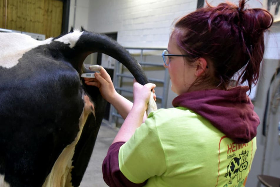 Vanessa Wendler misst bei "Nummer 27" Fieber und beantwortet nebenbei Fragen zur Tiergesundheit.