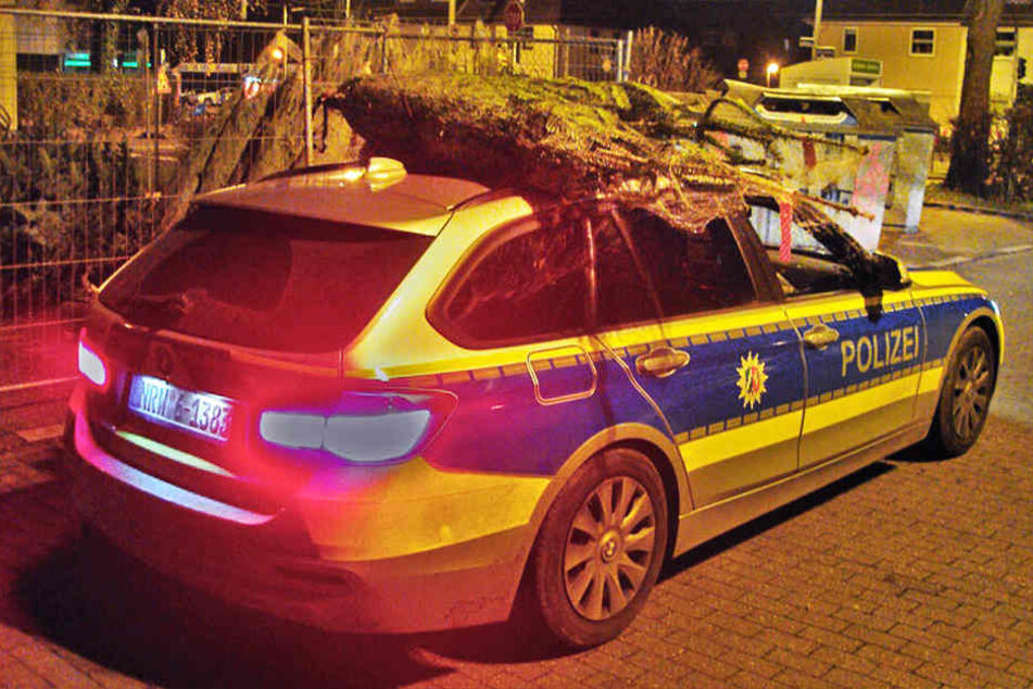 In Mülheim hat die Polizei gestohlene Weihnachtsbäume mit dem Streifenwagen dem Besitzer zurückgebracht.