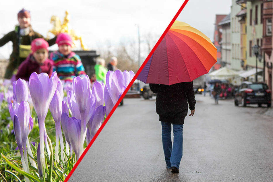 Der Frühling verabschiedet sich in den nächsten Tagen erstmal wieder aus Sachsen. (Symbolbild)