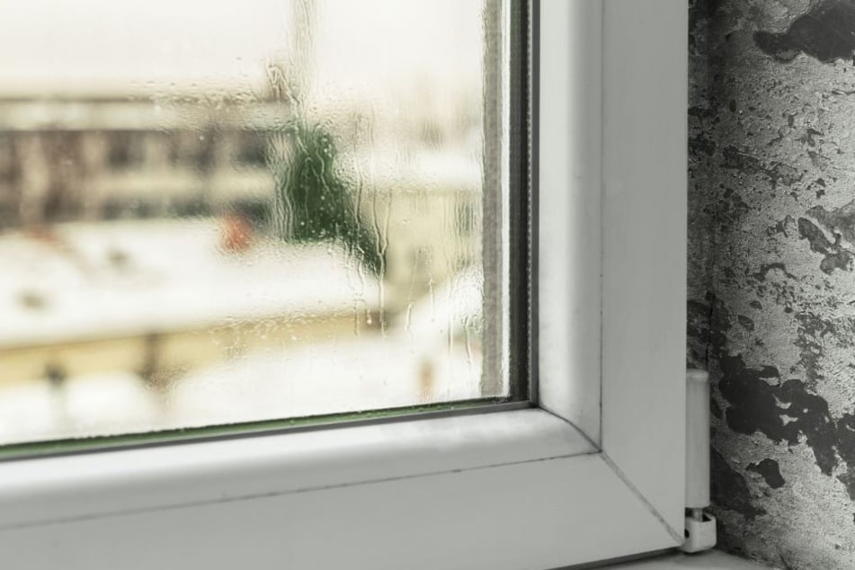 Die Kondensation in den Fenstern führen zu Schimmel und Feuchtigkeit im Haus. (Symbolbild)