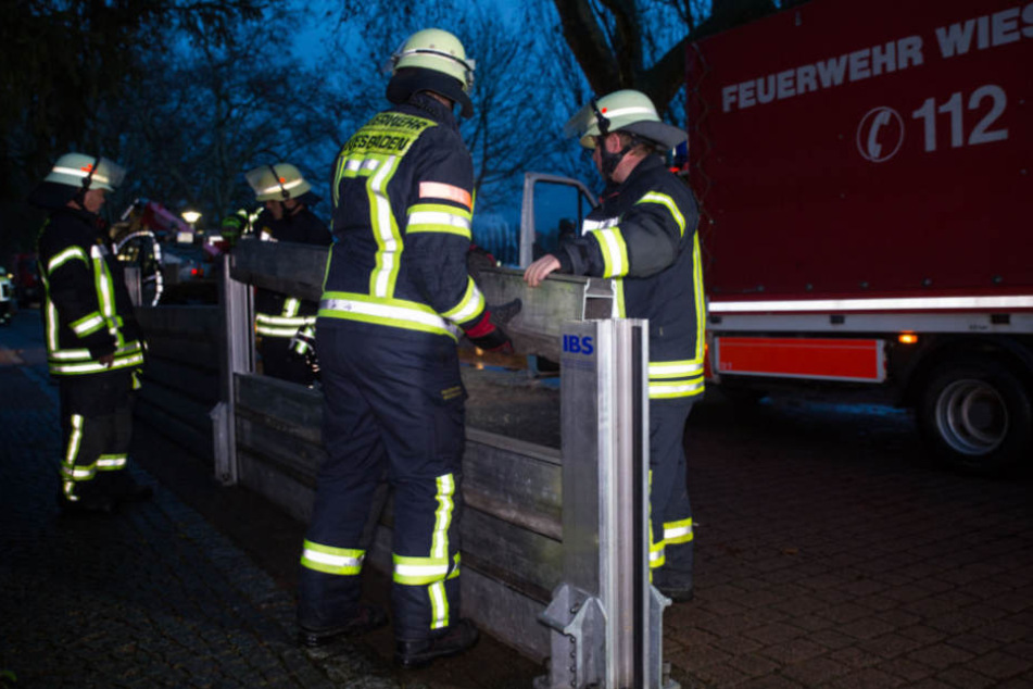 Der höchste Hochwasserstand soll am Sonntag erreicht werden.