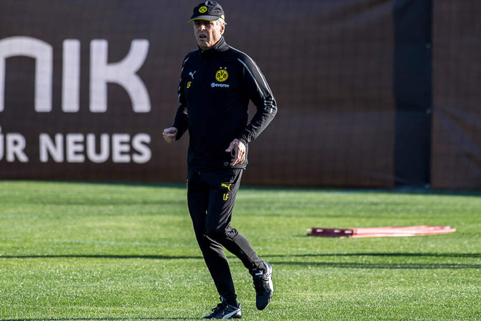 BVB-Trainer Lucien Favre könnte bald neue Spieler bekommen.