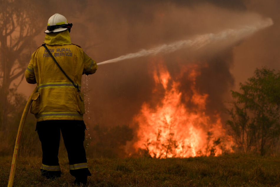 Australische Ermittler haben einen jungen Feuerwehrmann festgenommen, der die Buschbrände im Osten des Landes bewusst verschlimmert haben soll. (Archivbild)
