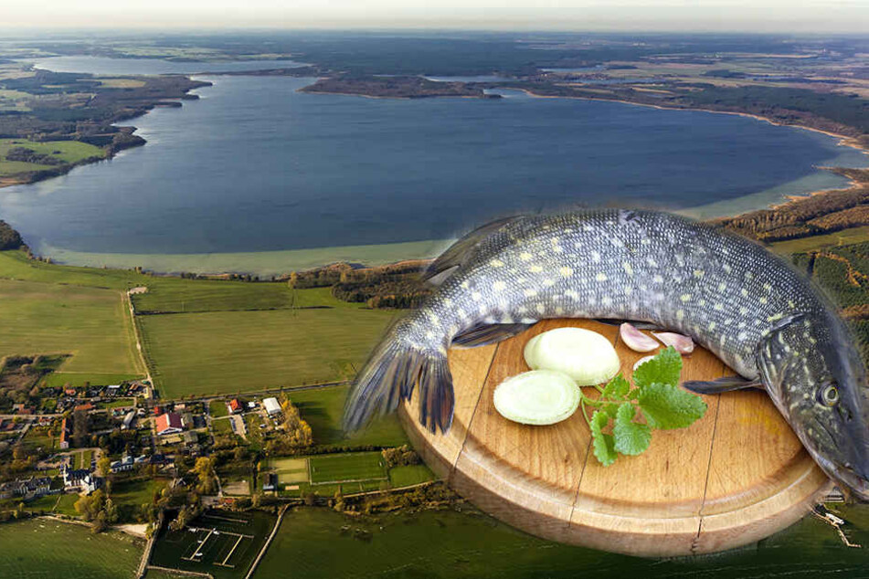 Auf dem Kölpinsee schlugen die Fischwilderer aus dem Kreis Paderborn zu (Symbolbild).