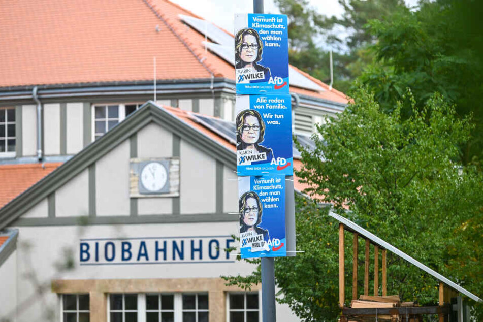 Gleich drei Pappen von Karin Wilke (66, AfD) hängen in Sichtweite des Klotzscher Biobahnhofes.