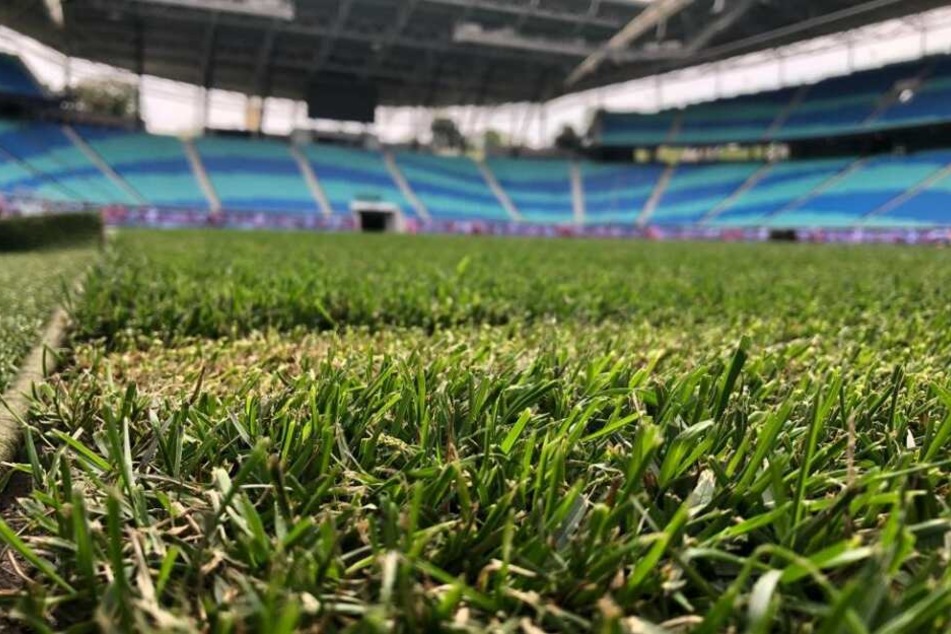 In der Red Bull Arena liegt nach dem Pilzbefall wieder neuer, saftig-grüner Rasen.