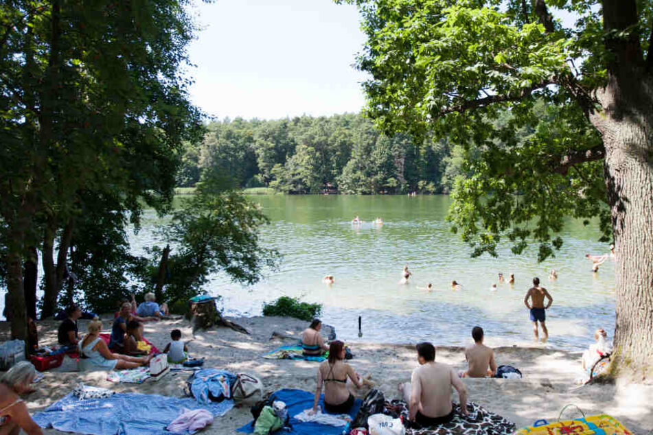 Auch die Badestelle am Krumme Lanke hat grünes Licht bekommen.