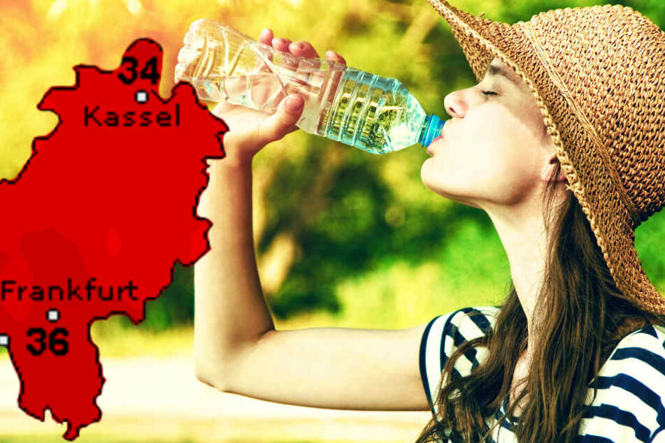 Der Dienst Wetteronline.de (Grafik) sagt maximal 36 Grad voraus, der Deutsche Wetterdienst 37 Grad.