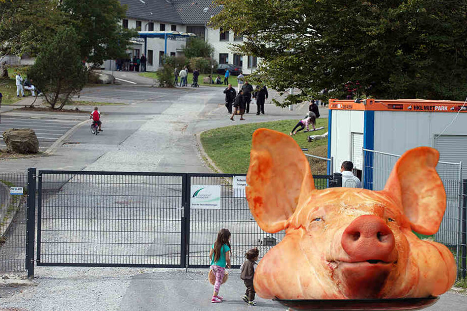 Vor einer Flüchtlingsunterkunft wurde ein Schweinekopf aufgespießt.