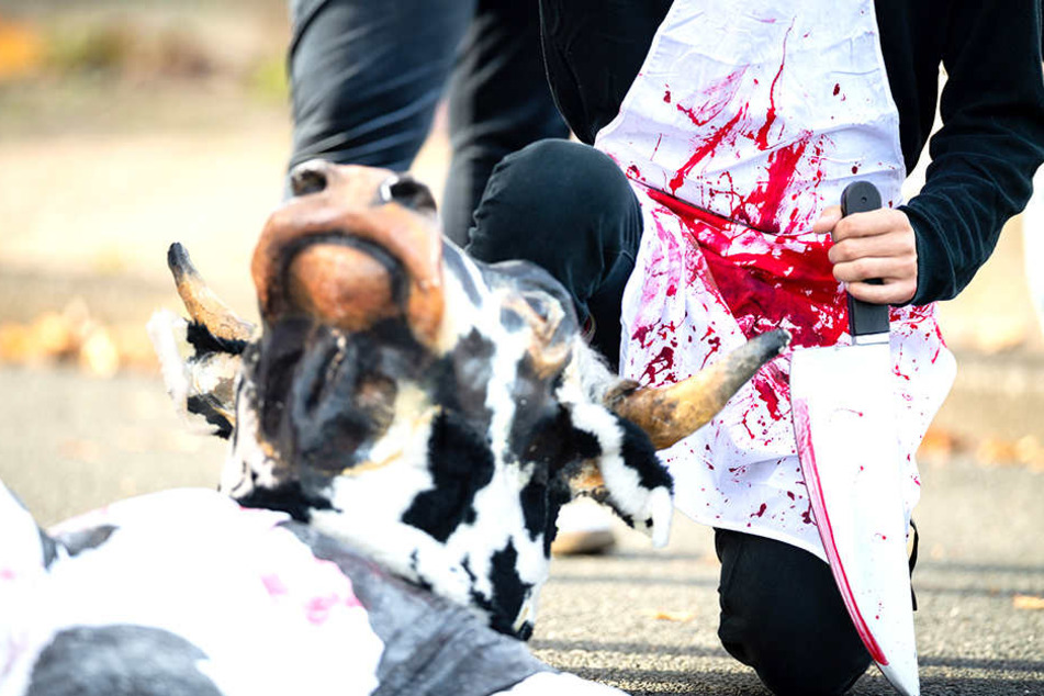 Vor dem Schlachthof kam es am Dienstag zu Demonstrationen des Deutschen Tierschutzbüros.