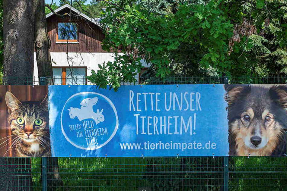 Hilfe gesucht: Das Tierheim Vielauer Wald braucht Tierheimpaten, um finanziell über die Runden zu kommen.