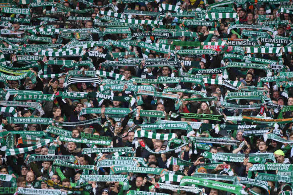 Zahlreiche Fans des SV Werder Bremen halten ihre Schals hoch.