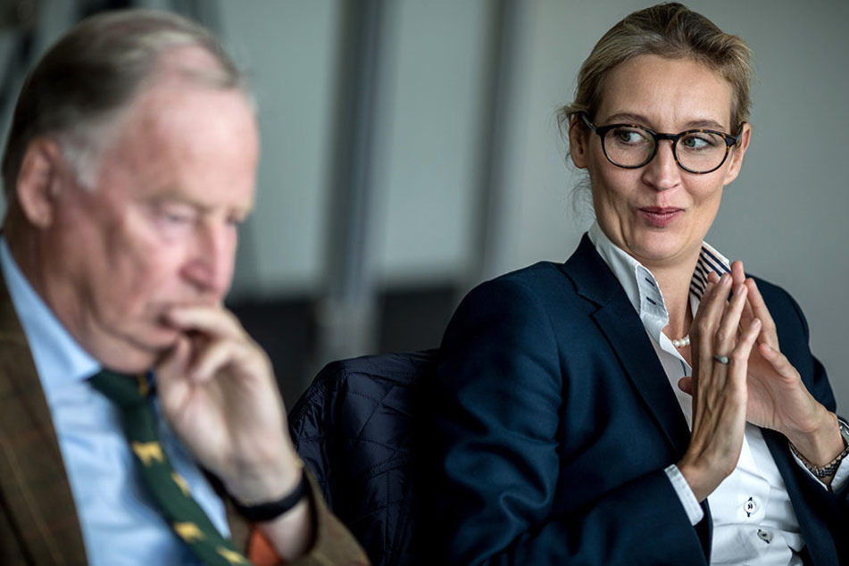 Das Wahlprogramm der AfD gilt einer Untersuchung zufolge als unverständlich. Was Alexander Gauland (76, rechts) und Alice Weidel (38) wohl davon halten?