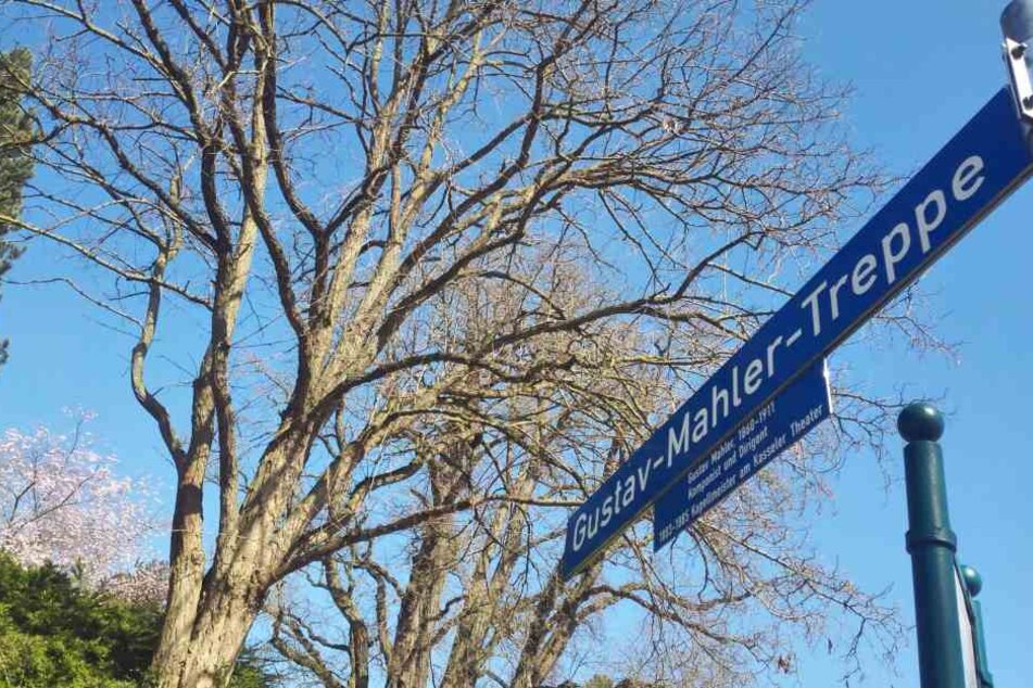 Die Gustav-Mahler-Treppe liegt in der Innenstadt und führt in den Staatspark Karlsaue. (Symbolbild)