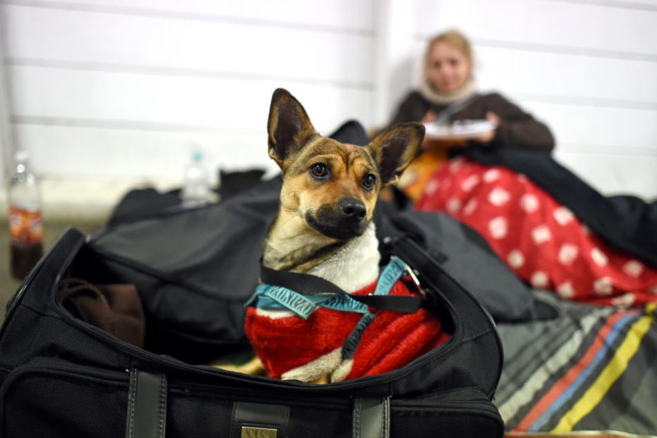 Viele Obdachlose liegen auch bei niedrigen Temperaturen auf den Straßen. Das kann schnell gefährlich werden.