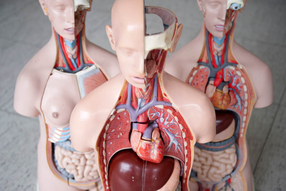 2008 bekam Lisa ein neues Herz transplantiert. (Symbolbild)