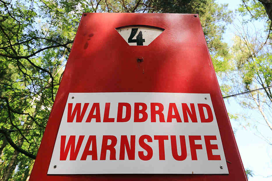 Waldbrandstufe 4, das bedeutet "Hohe Gefahr", für Thüringens Wälder.