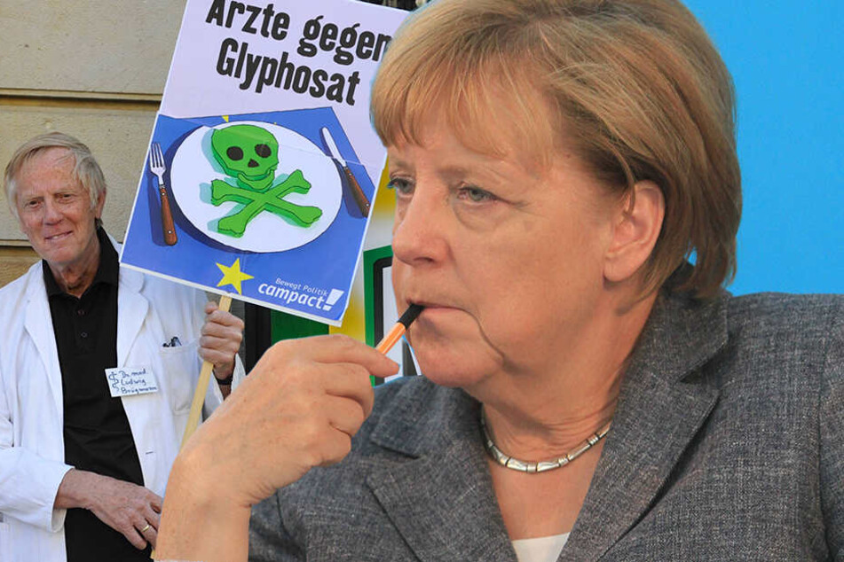 Angela Merkel (62, CDU) will an Glyphosat festhalten: Studien würden belegen, dass die Risiken durch Glyphosat nicht sehr groß seien.