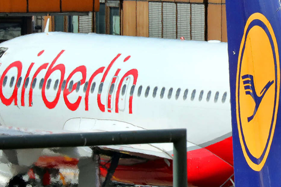 Air Berlin verhandelt aktuell mit Lufthansa über eine mögliche Übernahme.