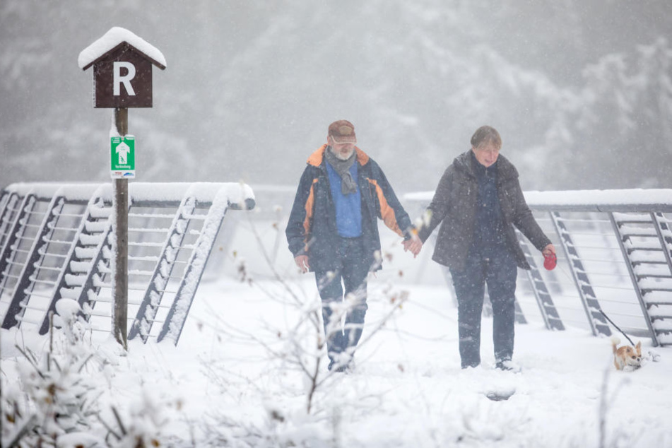 Diese Wanderer mussten am Rennsteig durch den Schnee stapfen.
