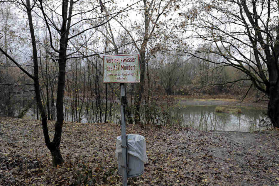 An diesem See wurden Kleidung und Handtasche der getöteten 17-Jährigen gefunden.