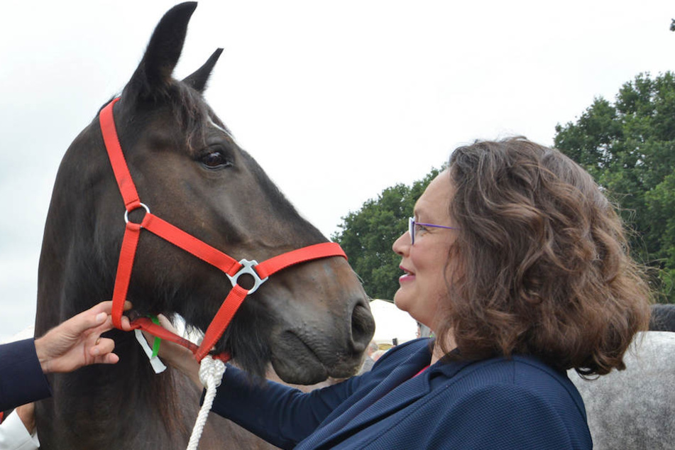 Wie hier am Rande des Stoppelmarktes im niedersächsischen Vechta umgibt sich Andrea Nahles (48, SPD) gerne mit Pferden.