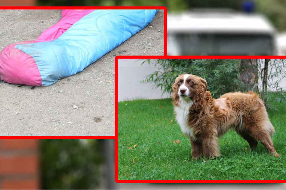 Markant sind unter anderem der rot/ blaue Schlafsack und der Hund des Verstorbenen.