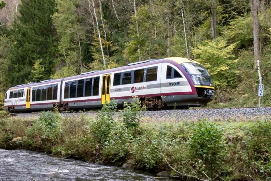 Das schlechte Streckennetz und die teils wildgewachsene Vegetation führten zu Schäden bei der Städtebahn Sachsen.