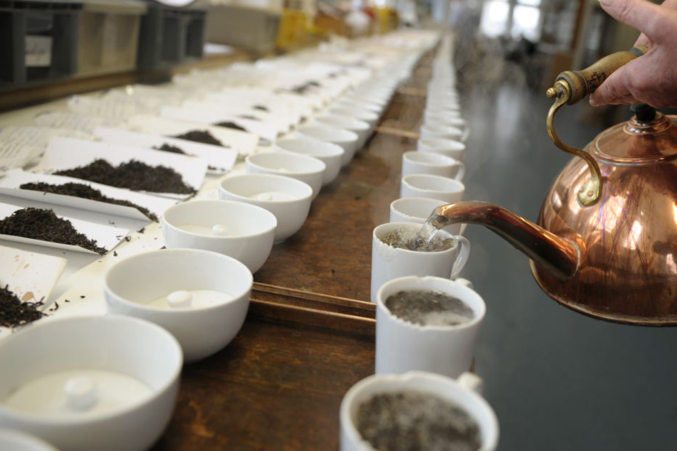Liebhaber von Darjeeling-Tee werden womöglich eine Zeit lang auf das erlesene Getränk verzichten müssen. Die Plantagen in der nordostindischen Region Darjeeling überwuchern, weil die Pflücker streiken.