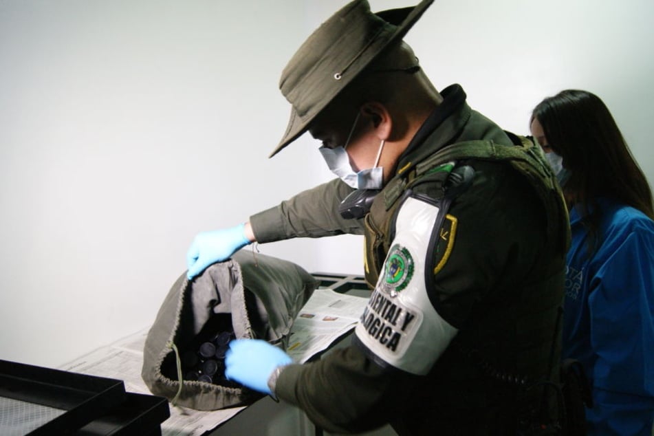 Ein Mitarbeiter der kolumbianischen Umweltbehörde durchsucht eine Tasche.