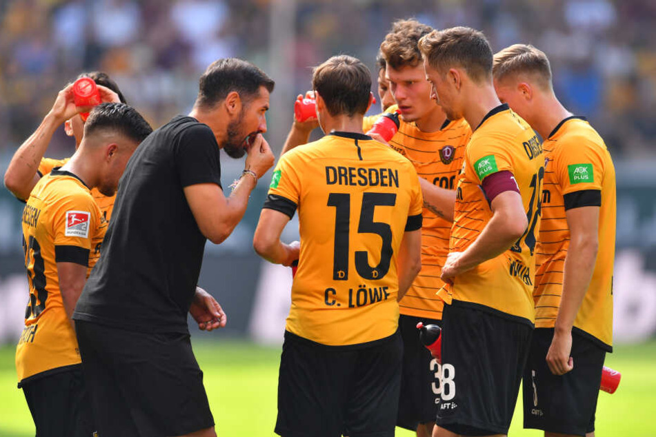 Sind einige Dynamo-Kicker von den taktischen Anforderungen ihres Trainers überfordert?