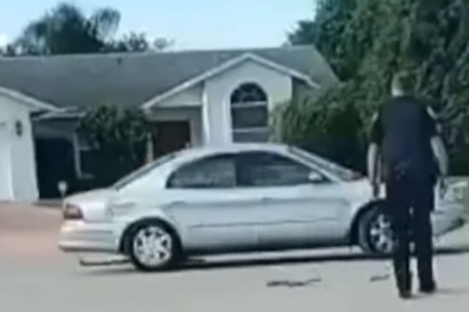 Der Hund saß in diesem Wagen, mit dem er eine halbe Stunde rückwärts im Kreis fuhr.