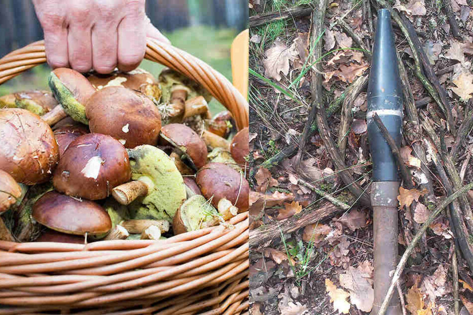 Eine Pilzsammlerin hat bei einem Spaziergang eine Granate entdeckt.