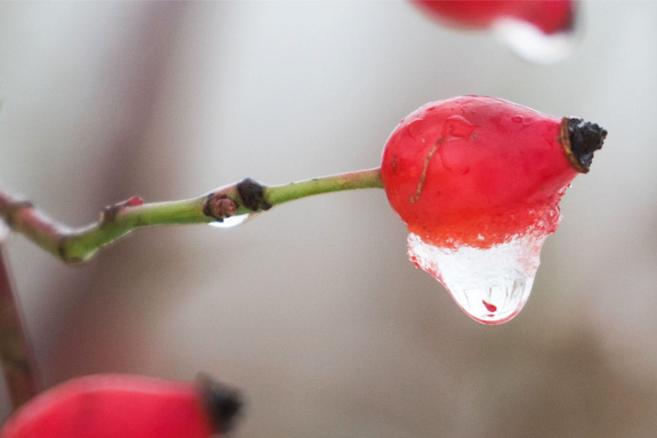 "Weiße Weihnacht ade, in Hessen ist Tauwetter angesagt (Symbolbild).