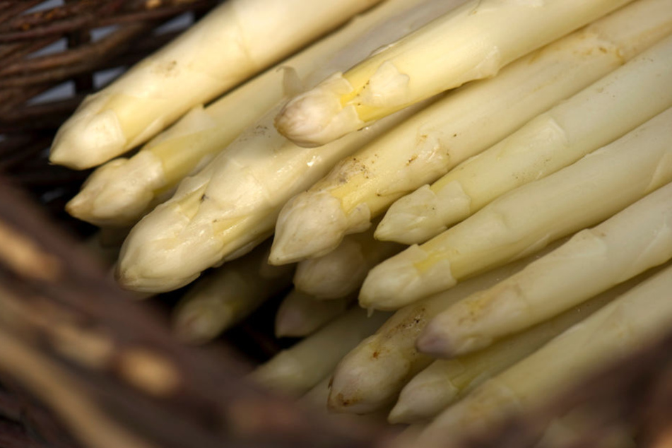 Feinschmecker können ab Mitte April mit Beelitzer Spargel rechnen.