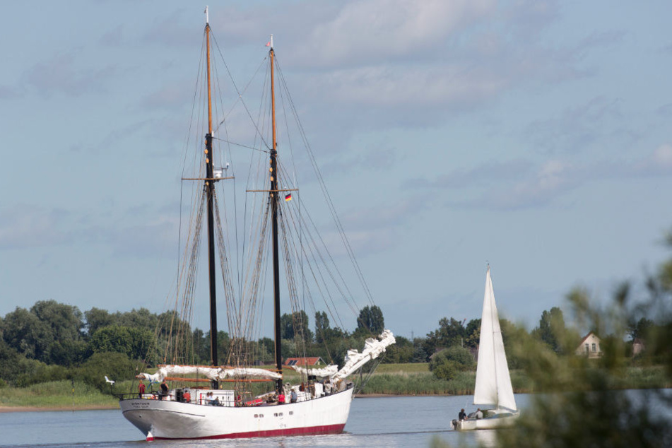 Der Segler "Avontuur" ist mir kostbarer Fracht aus Südamerika nach Hamburg gekommen. (Archivbild)