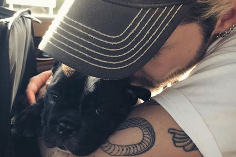 Bill Kaulitz und Bulldoggen-Welpe Stitch.