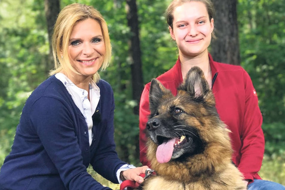 Uta Bresan (l.) sucht ein neues Zuhause für Tessy. Die Schäferhündin lebt
derzeit im Tierheim Vielauer Wald und wird liebevoll von der Auszubildenden
Saskia Kreysig betreut.