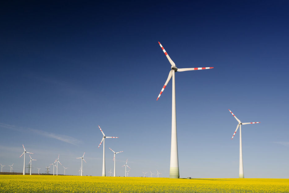 Strom aus erneuerbaren Energien sorgt für bis zu 90 Prozent weniger CO2 Emissionen (Symbolfoto).