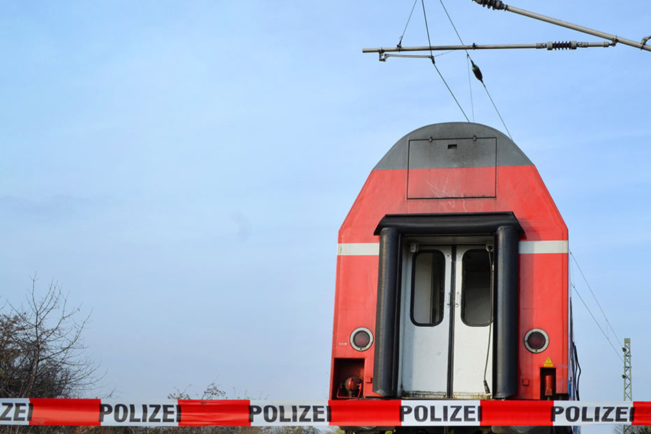 Die Jugendlichen waren auf einen abgestellten Zug geklettert. (Symbolbild)