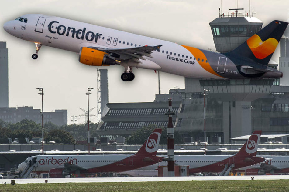 Condor profitiert von der Air-Berlin-Pleite und schnappte sich die Verbindungen in die Karibik.
