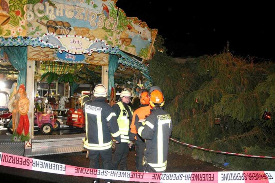 In Eschweiler (NRW) hat der Sturm einen 15 Meter hohen Baum umgerissen.
